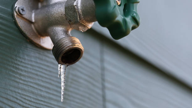 Best Residential Plumbing Services  in Owensville, IN