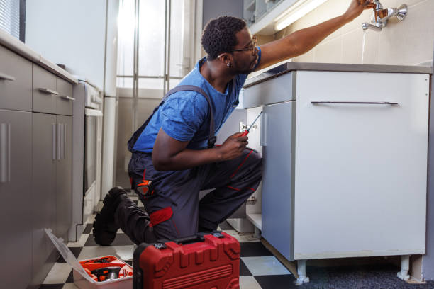Best Local Plumber Services  in Owensville, IN